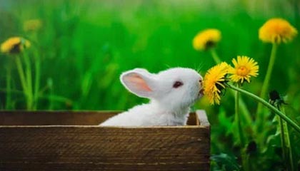 九游娱乐官方平台-青少年训练营选拔机制优化让更多有潜力选手脱颖而出，参加中国青少年训练营要多少钱