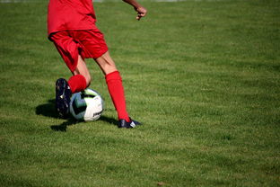 九游娱乐下载-中国足球青训体系引进国际先进训练理念，中国足球青训体系是什么