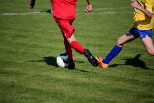 九游娱乐官方平台-特色足球文化在国际博览会中亮相，展示国家软实力，世界足球文化